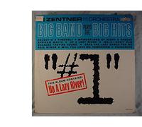 Big Band Plays The Big Hits