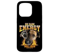 Big Bark Energy Funny Dog Meme Small Brain Moments Funny Dog Custodia per iPhone 15 Pro