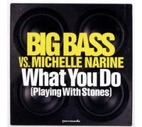 Big Bass Vs. Narine,Michelle - What You Do