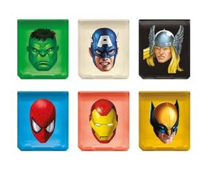 Big Ben Organize Marvel Case (Nintendo DS) [Edizione: Regno Unito]
