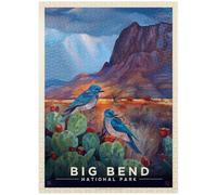 Big Bend National Park: Birds, poster vintage - puzzle premium da 1000 pezzi - Made in USA