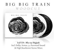 Big Big Train Woodcut (CD)