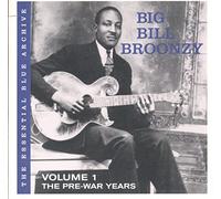 Big Bill Broonzy - The Ess Blue Archive
