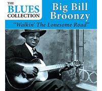 Big Bill Broonzy - Walkin' The Lonesome Road (The Blues Collection)