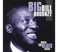 Big Bill Broonzy - Where the Blues Began