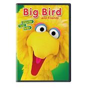 Big Bird And Friends (DVD)