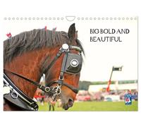 BIG BOLD AND BEAUTIFUL (Wall Calendar 2027 DIN A4 landscape), CALVENDO 12 Month