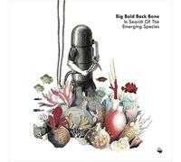 Big Bold Back Bone - In Search Of The Emerging Species