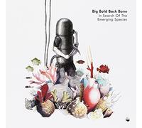 Big Bold Back Bone - In Search Of The Emerging Species