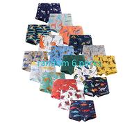 Big Boy Dino Boxer Slip Cartoon Shorts Jurassic Trunk