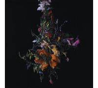 Big Brave Nature Morte (Vinyl LP) 12" Album