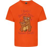 Big Brother Bear Sa Meglio Maglietta Divertente Per Bambini