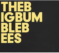 Big Bumble Bees, The - The Big Bumble Bees