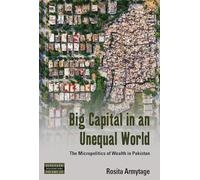 Big Capital in an Unequal World: The Micropolitics of Wealth in Pakistan