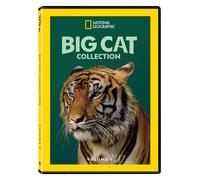Big Cat Collection Volume 5 (DVD)
