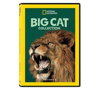 Big Cat Collection Volume 6 (DVD)