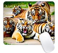 Big Cat Tappetino Mouse Lavabile Tappetini per Il Mouse Soffice Mousemat per Ufficio Laptop Lavoro 25X30Cm