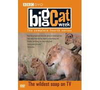 Big Cat Week - Series 4 [Edizione: Regno Unito]