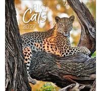 Big Cats 2027: Broschürenkalender mit Ferienterminen. Bilder von Raubkatzen. 30 x 30 cm