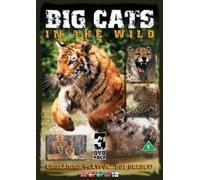 Big Cats - Big Cats [Edizione: Regno Unito]