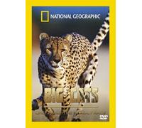 Big Cats - Cheetahs The Deadly Race [Edizione: Regno Unito]