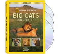 Big Cats Collection by NAT'L GEOGRAPHIC VID by -
