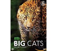 Big Cats [Edizione: Paesi Bassi]