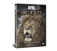 Big Cats - Into The Lions Den [Edizione: Regno Unito] [Edizione: Regno Unito]