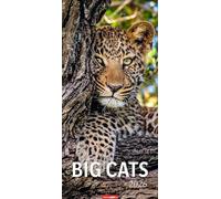 Big Cats Kalender 2026: Große Raubkatzen porträtiert in einem XL Wandkalender. Länglicher Kalender mit ausdrucksstarken Fotos von Löwe, Tiger und Co. 33 x 68 cm Hochformat