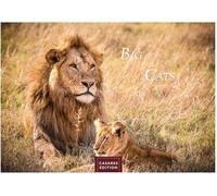 Big Cats Kalender 2026 - Wandkalender | Fotokalender Tier 24x35cm - Wunderschöner Großkatzen-. mit beeindruckenden Fotos von Tiger| Löwen | Jaguar | Gepard | Luchs | Puma