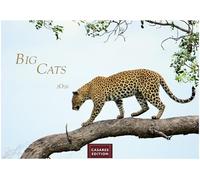 Big Cats Kalender 2026 - Wandkalender | Fotokalender Tier 35x50cm Grosses Format - Wunderschöner Großkatzen-. mit beeindruckenden Fotos von Tiger| Löwen | Jaguar | Gepard | Luchs | Puma.