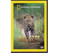 Big Cats - Stalking Leopards [Edizione: Regno Unito] [Edizione: Regno Unito]