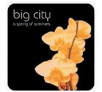 Big City - A Spring Of Summers