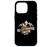 Big Cottonwood Canyon Utah Logo Brighton Wasatch Mountains Custodia per iPhone 16 Pro