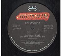 Big Country - One Great Thing (Big Baad Country Mix 6:12)