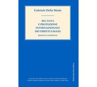 Big data e protezione internazionale dei diritti umani. Regole e conflitti