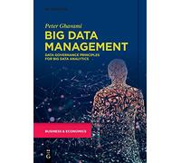 Peter Ghavami Big Data Management (Tascabile)