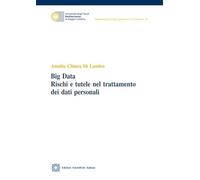 Big Data Rischi E Tutele Nel Trattamento Dei Dati Personali