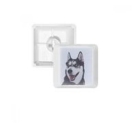 Big Dog Snow Husky immagine PBT per tastiera meccanica bianco OEM n. marcato stampa multicolore MultiColor R1
