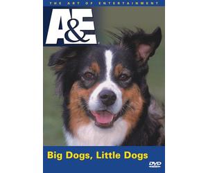 Big Dogs Little Dogs - Big Dogs Little Dogs