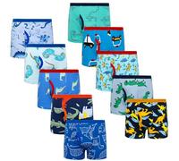 BIG ELEPHANT Boxer Slip per Bambini Confezione da 10, Biancheria Intima con Stampa Dinosauri 100% Cotone per Bambini, Morbido e Traspirante, Taglie 5 Anni