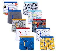 BIG ELEPHANT Boxer Slip per Bambini Confezione da 10, Biancheria Intima con Stampa Dinosauri 100% Cotone per Bambini, Morbido e Traspirante, Taglie 8-9 Anni