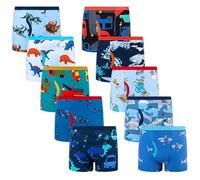 BIG ELEPHANT Boxer Slip per Bambini Confezione da 10, Biancheria Intima con Stampa Dinosauri 100% Cotone per Bambini, Morbido e Traspirante, Taglie 7-8anni