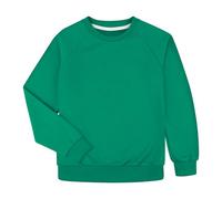 BIG ELEPHANT Sweat garçon 100% Coton - Pull à col Rond Doux et Chaud Sans Logo, Sweatshirt basique pour école et loisirs