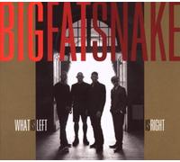 Big Fat Snake - What Is Left Is Right