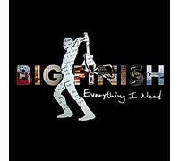 Big Finish - Everything I Need
