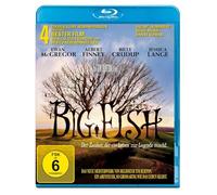 Big Fish - Der Zauber, der ein Leben zur Legende macht