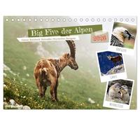 Big Five der Alpen Gämse, Steinbock, Murmeltier, Steinadler, Bartgeier (Tischkalender 2026 DIN A5 quer), CALVENDO Monatskalender: Die "Big Five der ... und Schönheit der alpinen Tierwelt stehen.