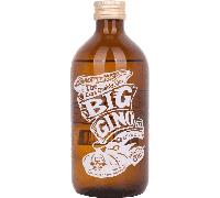 Big Gino Dry Gin 100 Cl
