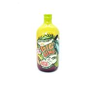 Big Gino Exotic Dream - Gin Da 1l - Dolce Con Note Di Ginepro, Pomelo, Bacche Di Pimento E Frutta Tropicale. Ottimo Gin Per Cocktail Esotici E Pestati. (1)